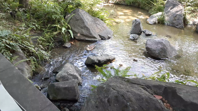 筋トレで3キロ絞るために今日から始めたことの記事動画