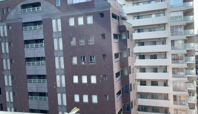 まだまだ蟹座の満月の勢いに乗ろう！の記事動画