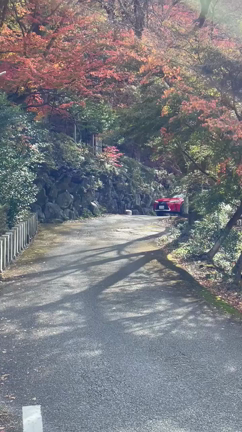 ＬＬツーリング in 群馬県の記事動画