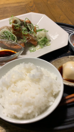 マトウダイの記事動画