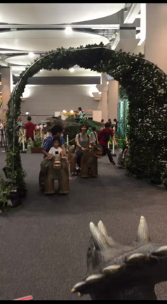 楽しすぎた。の記事動画