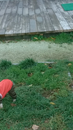 9月10月のみくさんの記事動画