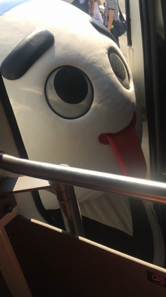 こにゅうどうくん！の記事動画