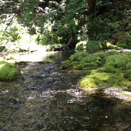 釧路川源流鏡の間！の記事動画