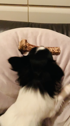 マタニティハラスメント。の記事動画