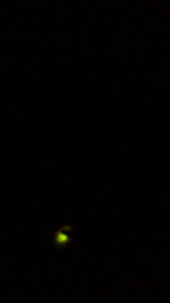 田舎の光の記事動画