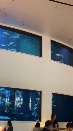 ★ハワイでのラストディナー★の記事動画