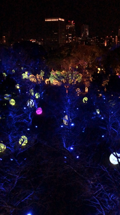 チームラボ 福岡城跡 光の祭 (*´▽｀*)の記事動画