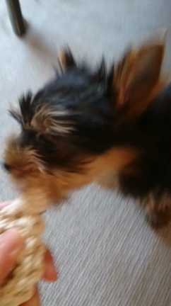 初めまして♡の記事動画