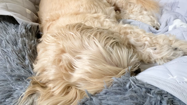 ブラックアウトタトゥー【ブラックアーム　腕　塗り潰し】〜ryujitattoo〜の記事動画