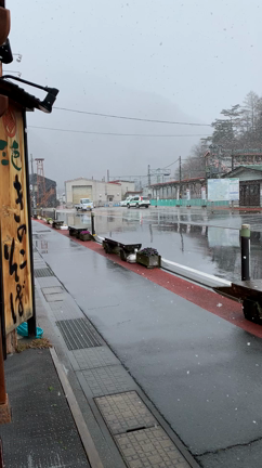 春なのに、雪‼️の記事動画