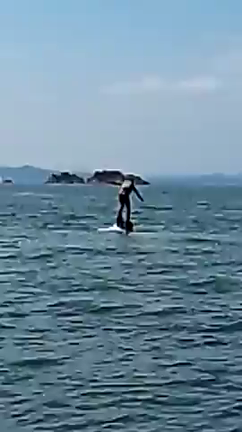 夏の想い出の記事動画