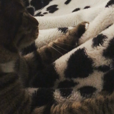 “The future can change the past.”の記事動画