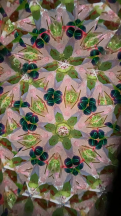 8月13日はにじのむらでワークショップ開催の記事動画