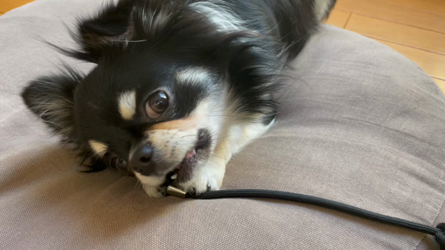 2023/11/18の記事動画