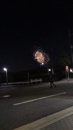 宝ヶ池花火！の記事動画