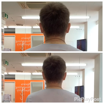 痛みはおまかせ2の記事動画