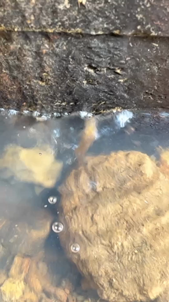 見えなかった心、そして復帰の記事動画