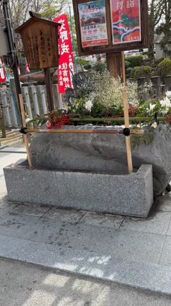 十日戎戎　交野住吉神社に行ってきた♪の記事動画