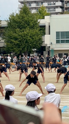 孫の運動会でしたの記事動画