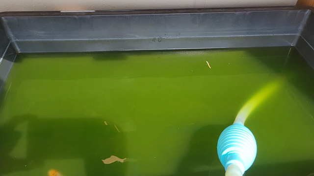 爆買いじゃないストレス発散その２の記事動画