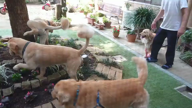 りくももファミリー集合②の記事動画