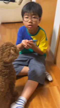 【感想】ハーブふりかけ、ペロリと平らげましたの記事動画