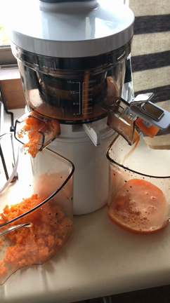 ヒューロム スロージューサーを使ってみたの記事動画