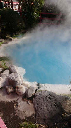 2019大分県旅行⑦(かまど地獄)の記事動画