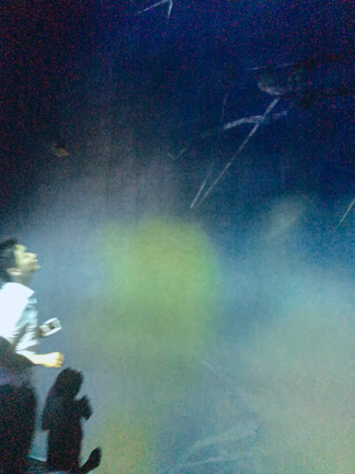 チームラボ・ボーダレスレポ٩(๑′∀ ‵๑)۶•*¨*•.¸¸♪の記事動画