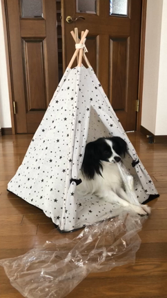 来月のイベントのお知らせの記事動画