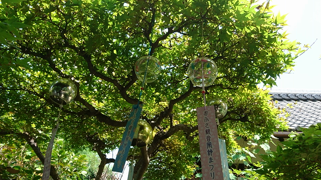 風鈴まつりの記事動画