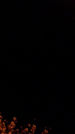 帰り道の記事動画