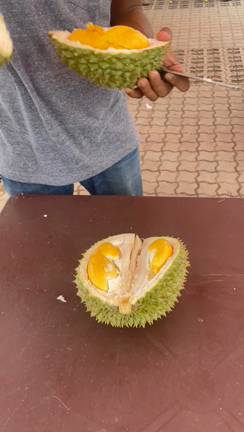 私、ドリアン食べられる人でした（笑）の記事動画