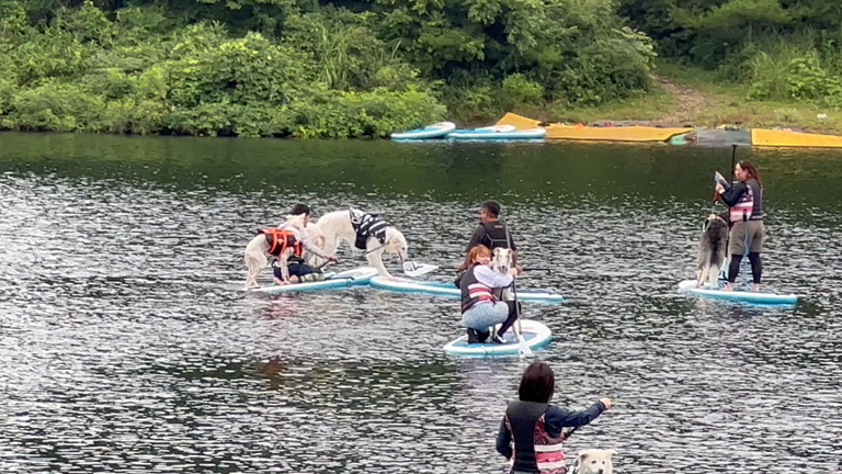 イベント決定❣️の記事動画