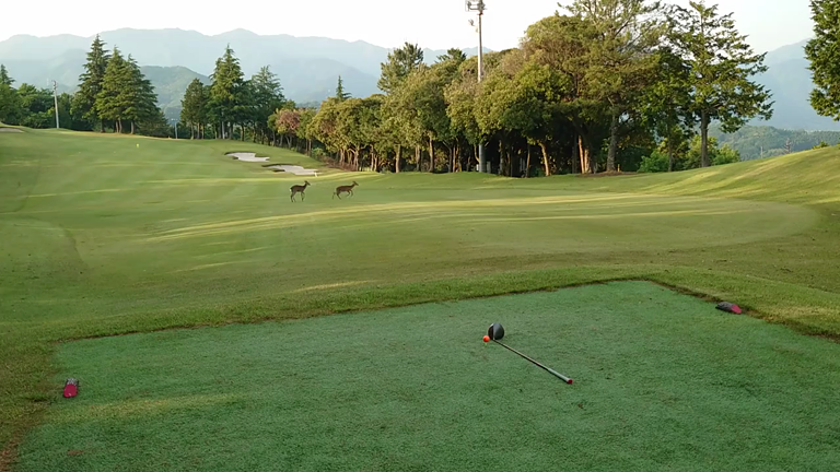 昨日のゴルフ❤️パパチップインバーディー❤️長八❤️スポーツ大好き❤️の記事動画