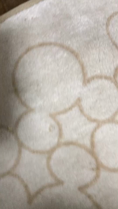 最近の亀吉とナミさんの記事動画