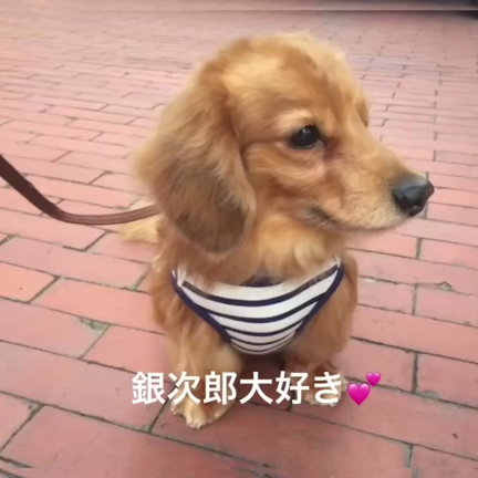 天使は天国への記事動画