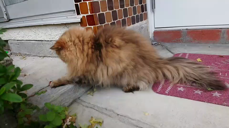 美味しいＧW&想い出♪の記事動画