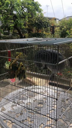 実家にての記事動画