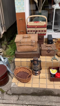 すみれファームのおたのしみ。オーパーツさん！の記事動画