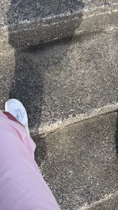 いちごへの韓国みやげの記事動画