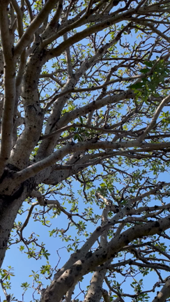 2023/05/10の記事動画