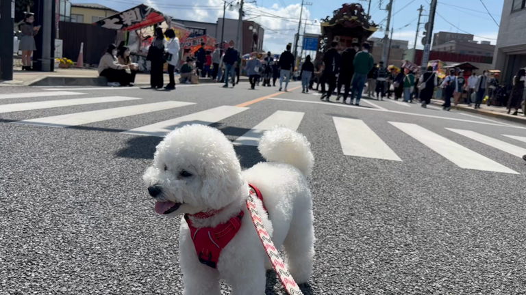 一日一曲769日目♪の記事動画
