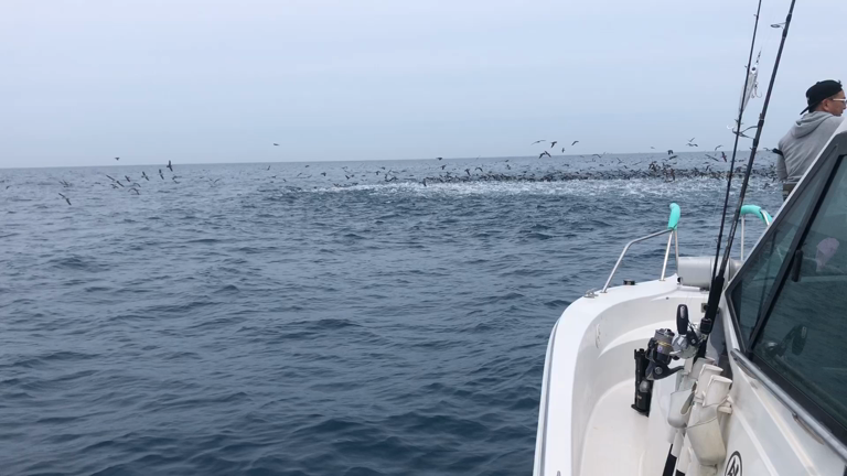 2023GW釣行2の記事動画