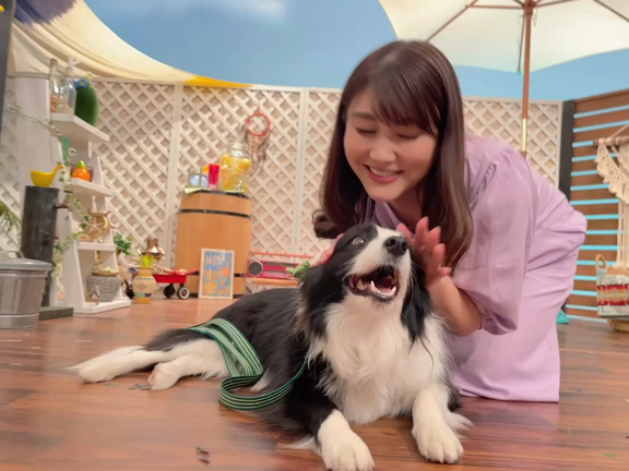 5月と、今日は。の記事動画