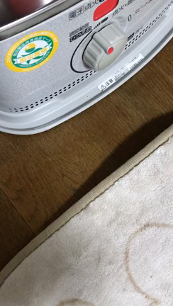 最近の亀吉とナミさんの記事動画