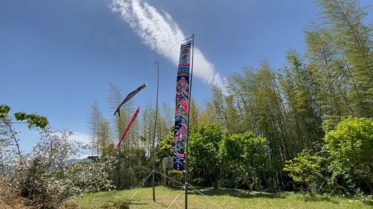 正解は…？の記事動画