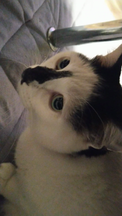 ビビり野郎の八つ当たりの記事動画