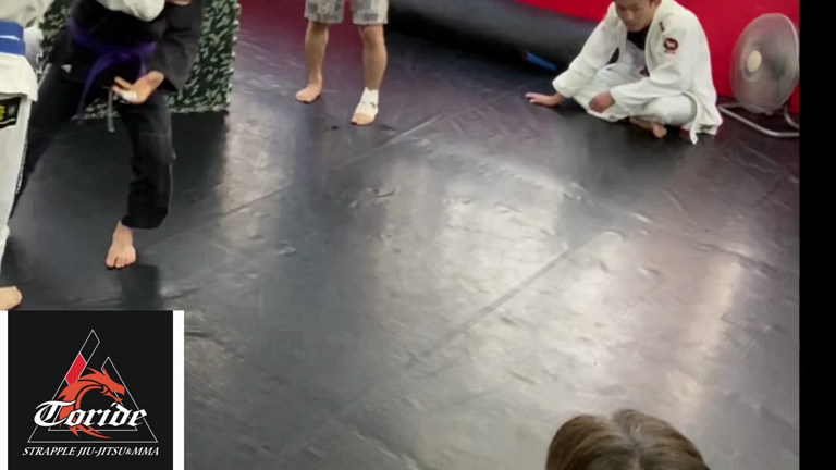 GW柔術納めの記事動画